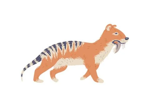 Tilakosmil extinct animal, flat vector illustration isolated on white background Stock Illustration
