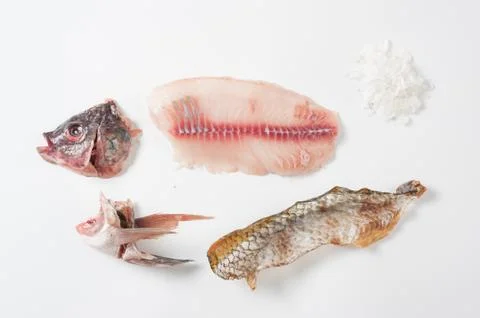 Tilapia components on white background Stock Photos