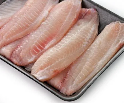 Tilapia fillet Photos