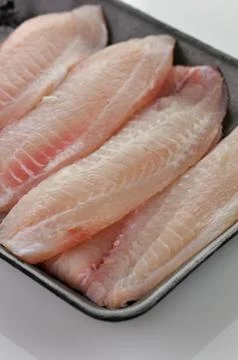 Tilapia fillet Stock Photos