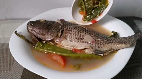 Tilapia Fish and Vegetable Soup Stock Footage 159319782