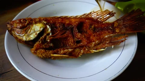 Tilapia fish on a plate Stock Footage 259383481