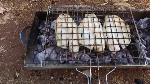 Tilapia on the Grill Stock Footage 77292321