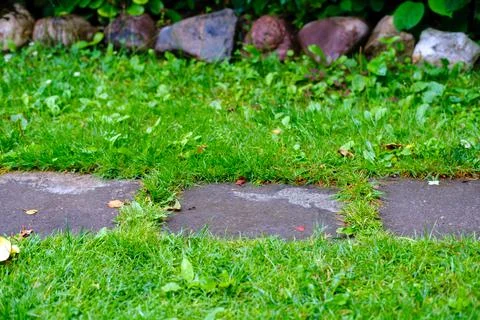 The tile path is overgrown with weeds. Stock Photos