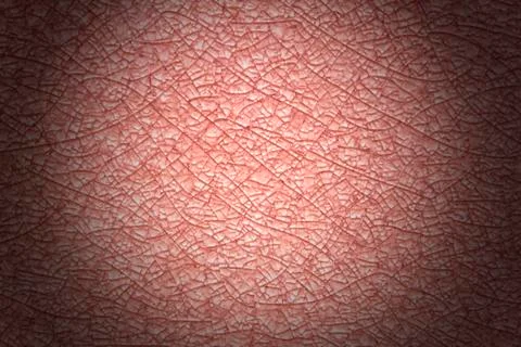 Tile pattern. Stock Photos