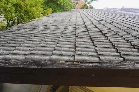 The Tile Stock Photos