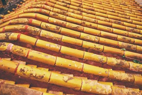 Tile roof pattern textured background. Stock Photos