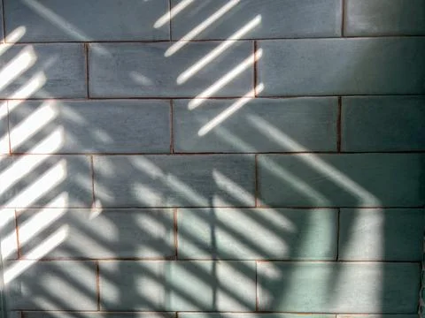 A tile wall in a bathroom with shadows 스톡 사진