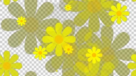 Tileable yelllow flower background with alpha Stock Footage 46999688