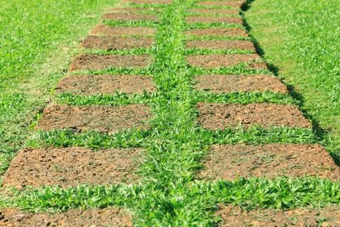 Tiled Garden Path Stock Photos