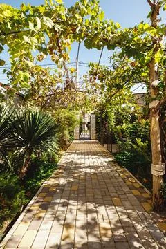Tiled path in the garden Stock Photos