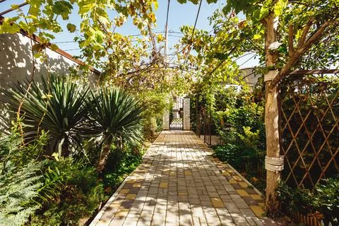 Tiled path in the garden Stock Photos
