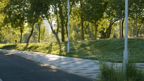 Tiled road in the park Stock Footage 133957510