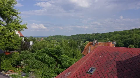 Tiled Rooftops and Forest Horizon on a Clear Summer Day Stock Footage 313882351