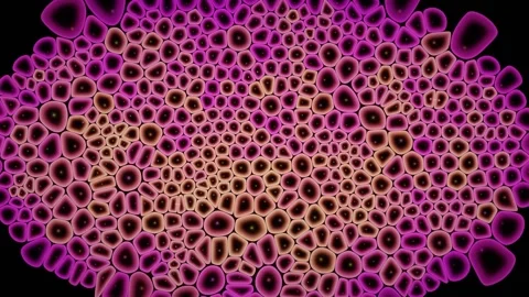 Tiled Scan Assembles A Large Field One Tile At A Time Stock-Footage 344513200