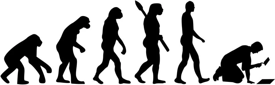 Tiler evolution Stockillustratie