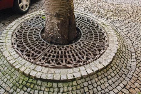 Tiles and tree Stock Photos