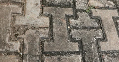 Tiles on the Footpath Stock Footage 288272152