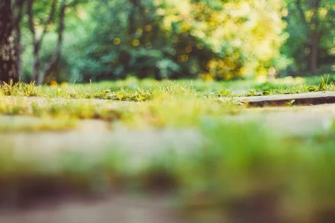 Tiles on grass Stock Photos