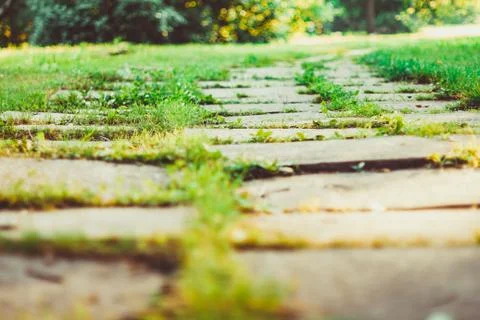 Tiles on grass Stock Photos