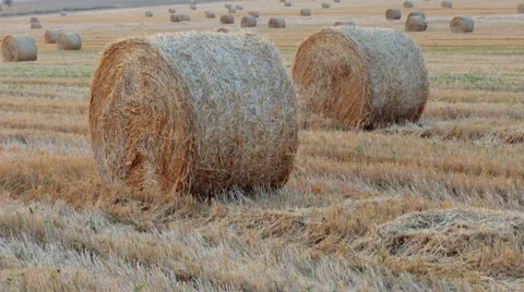Tiliting sunset over farm field with hay bales Stock Footage 66336516