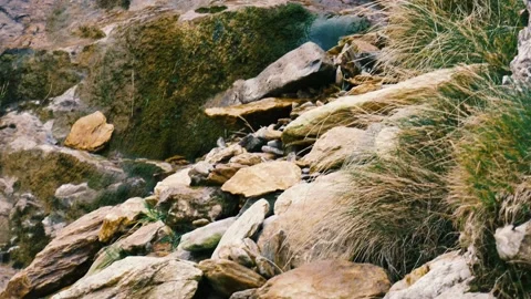 Till down in Waterfall with Moss and Rocks Stock Footage 141668416