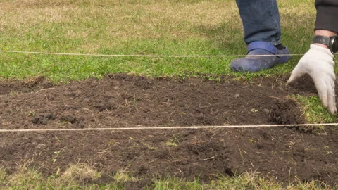 Tillage in the garden, timelapse Vidéo 219547170