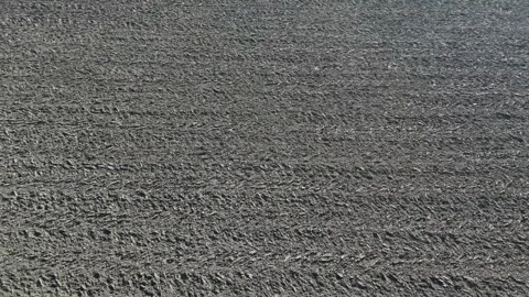 Tilled farmland with linear soil patterns in rural Olza, Province of Piacenza Stock Footage 307593831