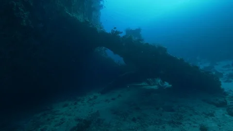 Tiller and propeller of the shipwreck Carnatic underwater, Red Sea, Egypt Stock Footage 88366573