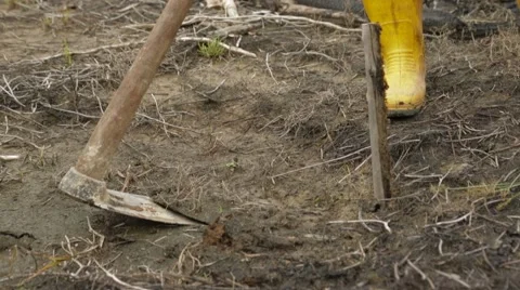 Tiller Working The Land With A Hoe Stock Footage 61463459