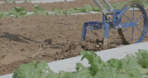 Tilling Stock Footage 133962576