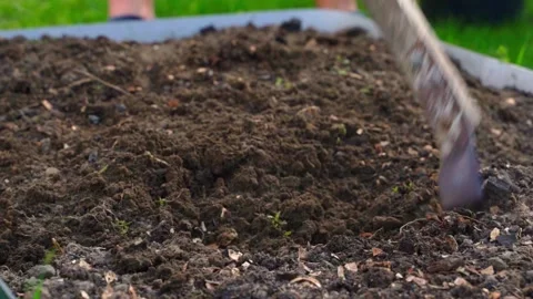 Tilling garden bed soil with hand hoe and mixing soil with chicken manure 스톡 동영상 337544627