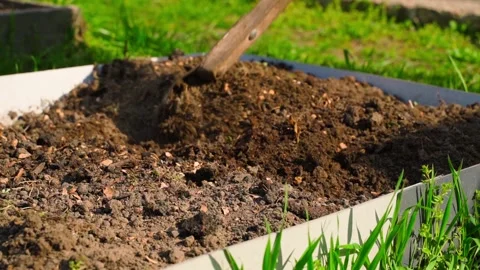 Tilling garden bed soil with hand hoe and mixing soil with chicken manure Stock Footage 337544653