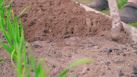 Tilling garden bed soil with a hand hoe in slow motion. Loosening earth in a 스톡 동영상 342913155