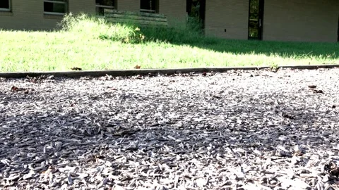 Tilt Up Abandoned School Wakefield Elementary Est 1950s Shown Before Teardown 4K Stock Footage 209334945