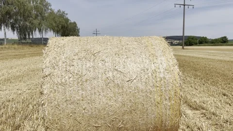 Tilt Up Along Round Straw Bale in Harvested Countryside Stock Footage 342001827