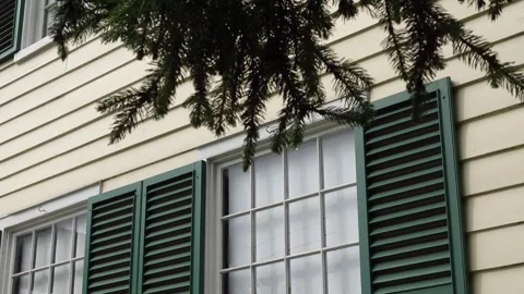 Tilt up and down shot of an exterior window with dark green shutter Video stock 283597688
