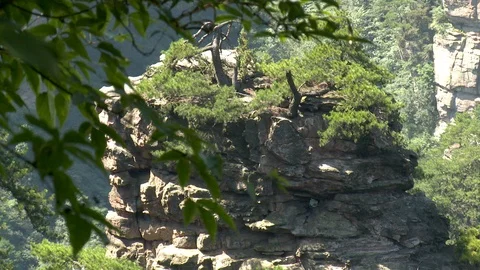Tilt Up and Down Stone Pillar in Forest in China Stock Footage 120536577