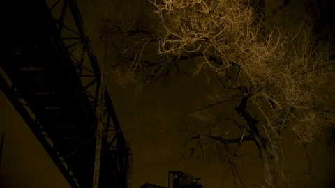Tilt up from barren tree to bridge in silhouette against night sky Stock Footage 89945478