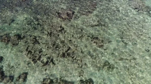 Tilt up beach, Tulum Stock Footage 171357281