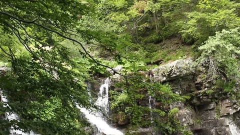 Tilt of a beautiful waterfall in the mountains Video stock 99314531