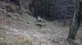 Tilt up big rocks forest in mountain range Harz HD Footage