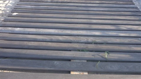 Tilt up from boardwalk to beach Stockbeeldmateriaal 98909737