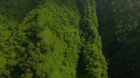 Tilt up camera drone in a misty mountain valley view Stock Footage 155200405