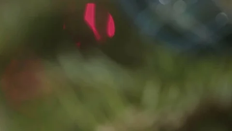 Tilt up a Christmas tree with a rack focus to reveal a bulb ornament. Stock Footage 71104329