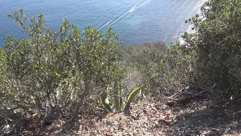 Tilt up from cliffs over ocean 動画素材 76001552