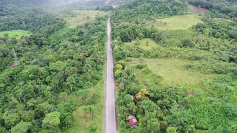 Tilt up cloudy road on the amazon rainforest Video stock 219414814