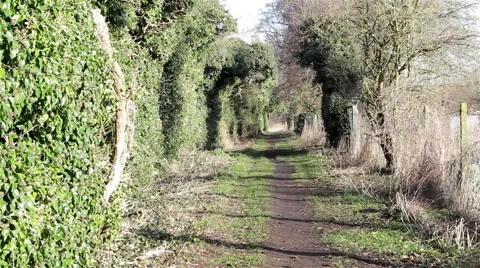Tilt Up Countryside Path Surrounded by Hedge Foliage in Beautiful Morning Light Video stock 48982441