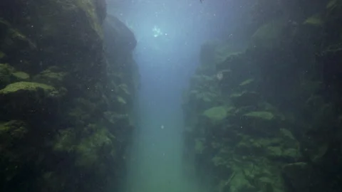 Tilt Up In Deep Reef Crevice Towards Female Snorkeler Diving From Surface of Wat Stock Footage 149147578