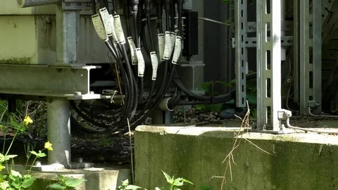 Tilt: Details of the base of a mobile tower. Technology, electricity, nature Stock Footage 76770905